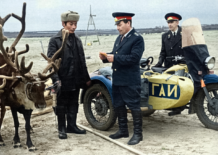 ��������: �������� �������.