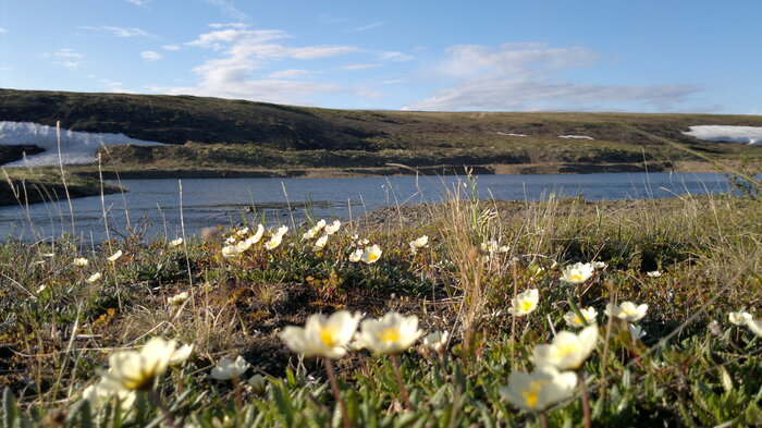 ����� �������