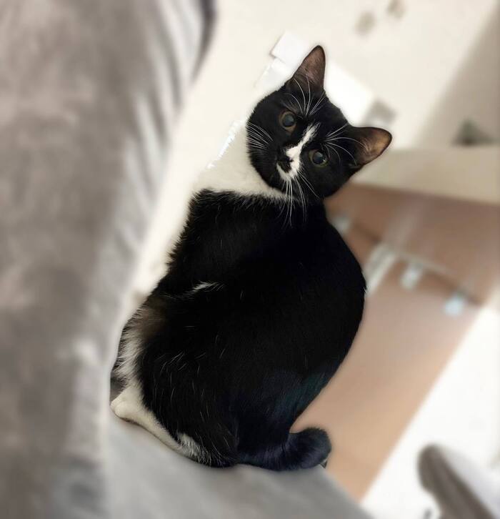 �������������� ������ ������� � ����� ���� ��� !