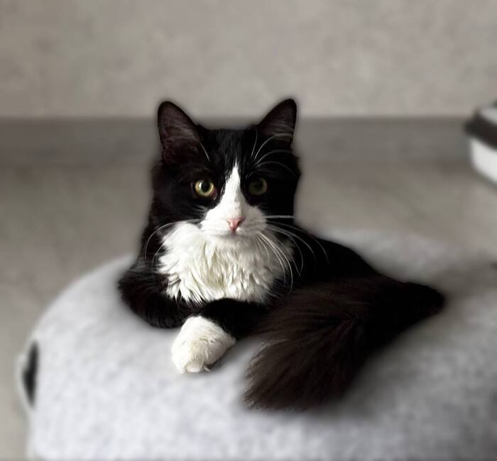 �������������� ������ ������� � ����� ���� ��� !