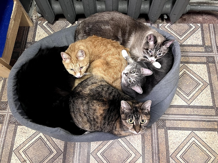 ����-����� "������� ���������� � �� ������"