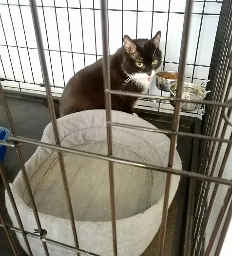 ����-����� "������� ���������� � �� ������"