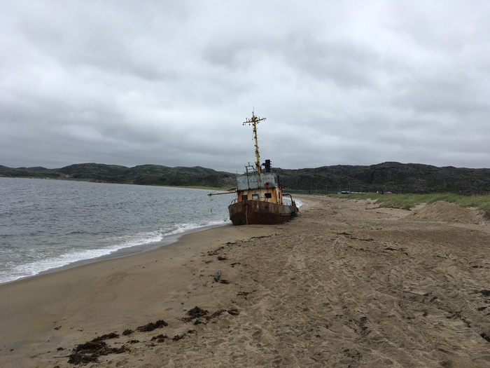 � ���������