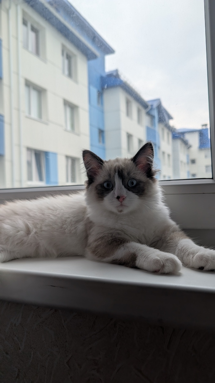 ���, ����� 2025 ����