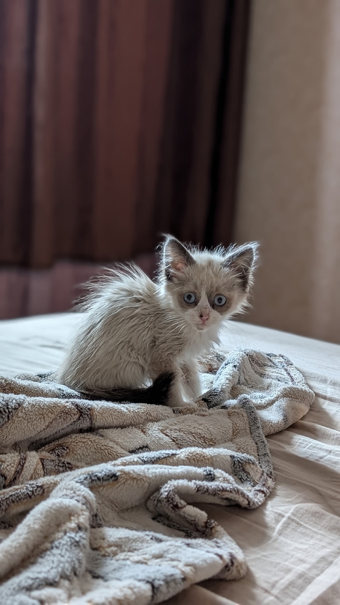 3-�� ���� ����, �� ��� � ����