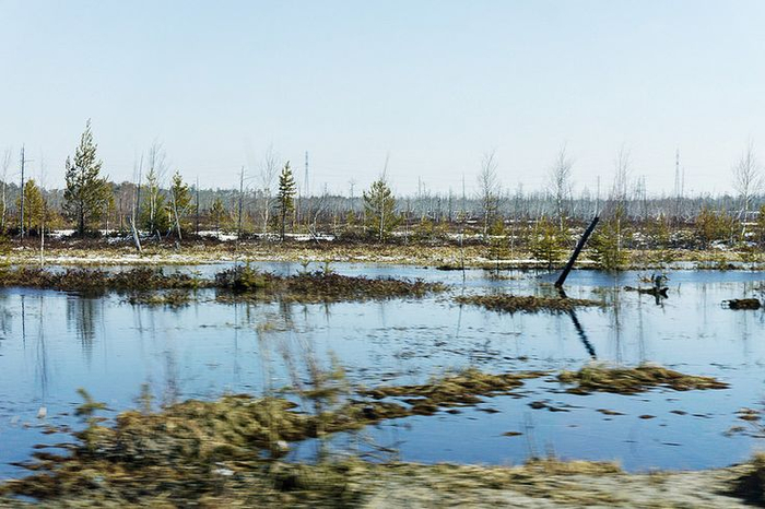 ������� ������� ���� - ����� �� ������ ����� �������� � ��������