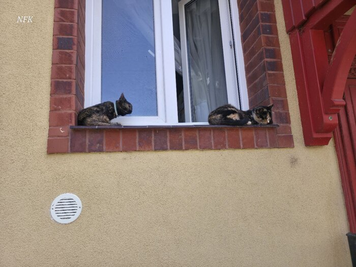 ���������� ��������