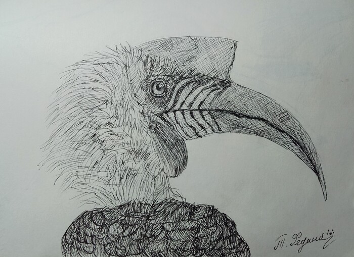 ����������� �����