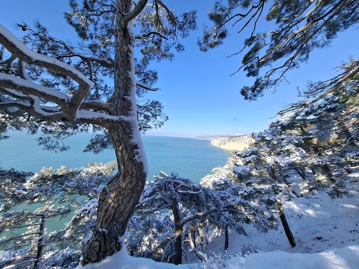 ������� ������