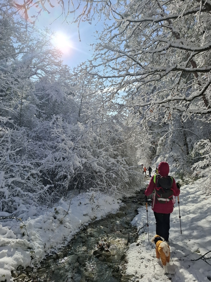 �� ������ � ��������