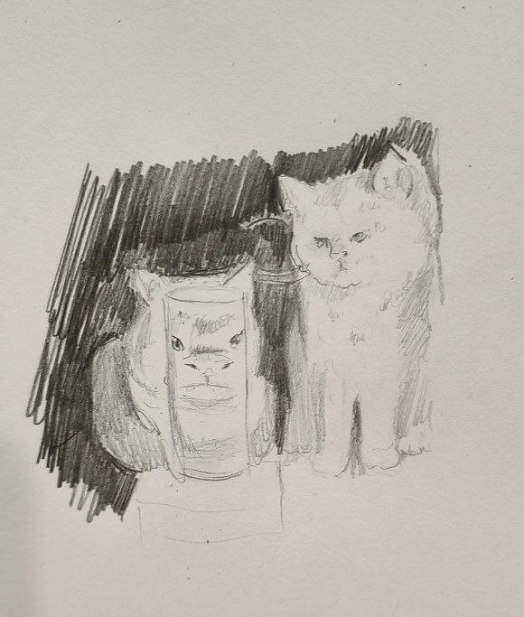 Ответ на пост «Физику изучают)»