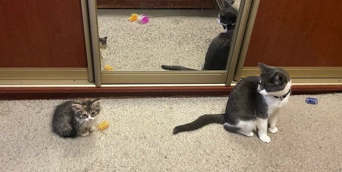 ����� � ����� ��������