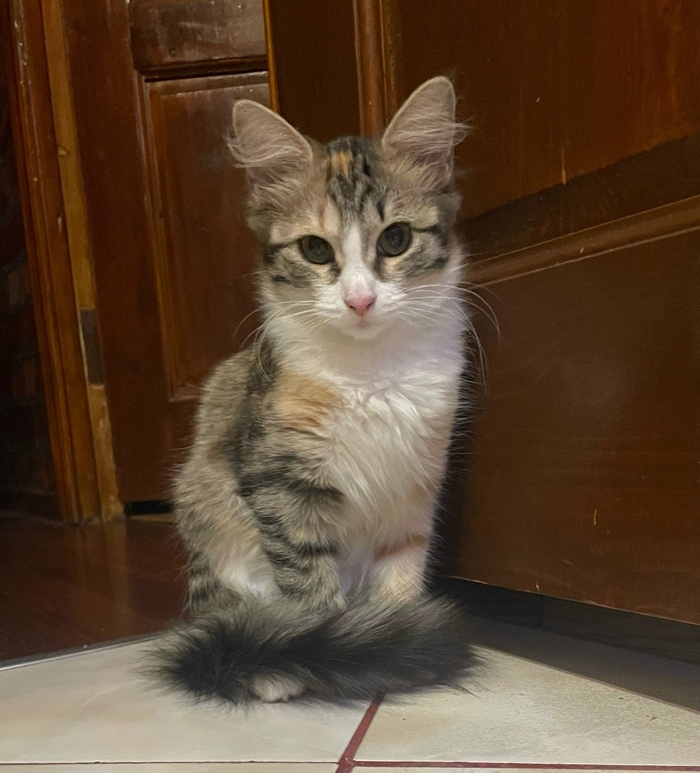 ��������