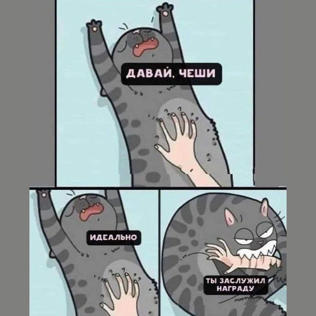 Заслуженная награда - Кот, Картинка с текстом, Кусь
