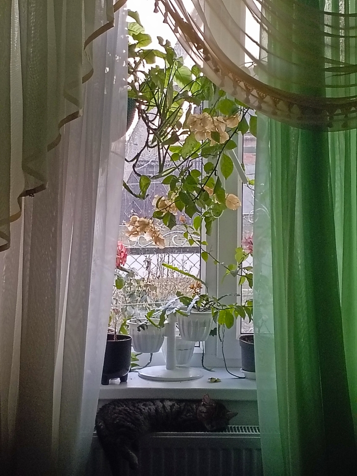 В гостях у мамы и папы. Там хорошо