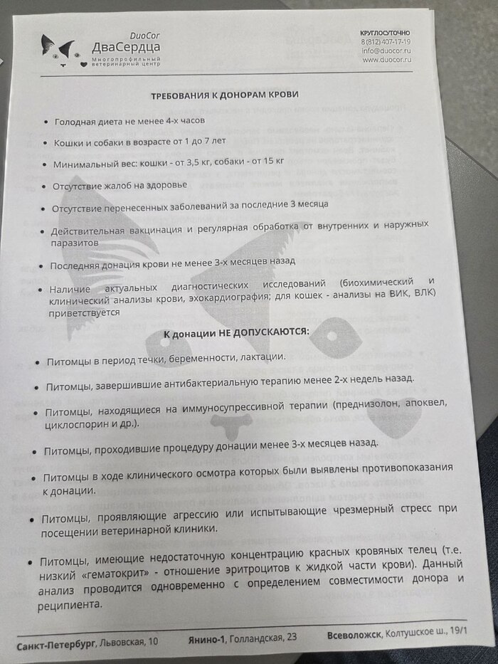 ���������� � ������� �����