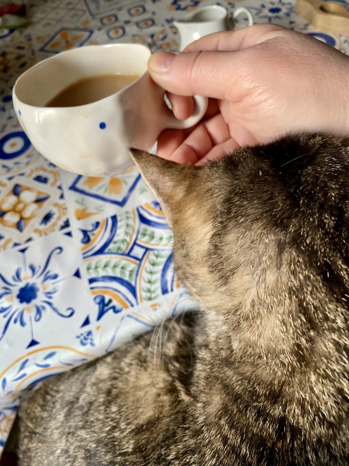 ����� �� �������, ������� � ���� ������