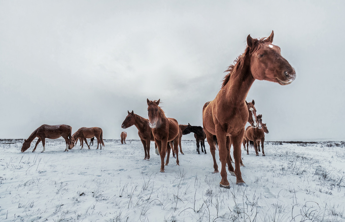 ������� � �������