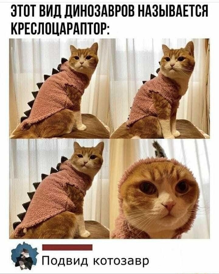 ������ ������