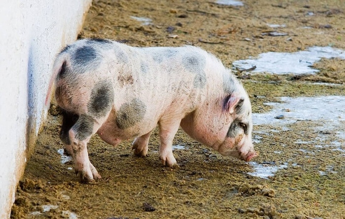 � � ����� ���-�� ����� ������������, ���� �� ��� ������ �� ��������, �������� �� ��� � ���, �� ���������. (���� � ���������).