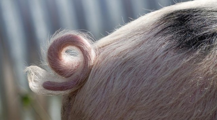 � ���� ������ "�� �������!"(���� � ���������)