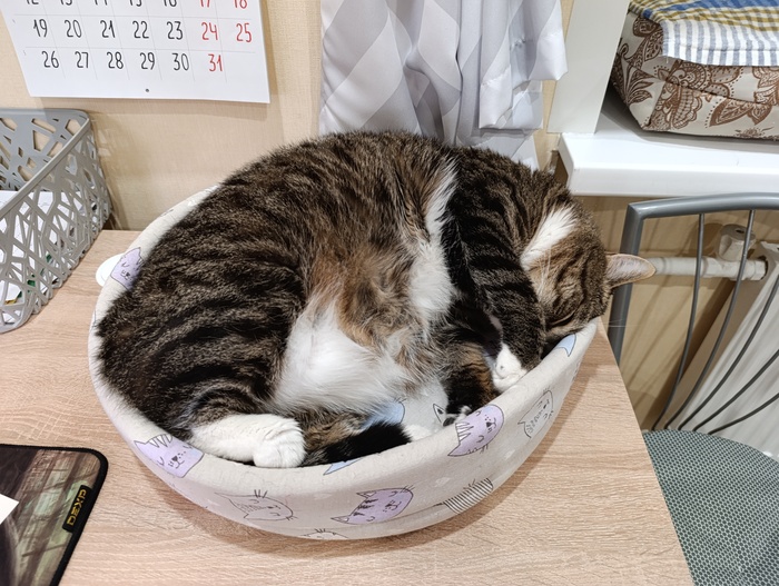 ����� �� ��� ��������, �� ������ ��������� ��������� � �������