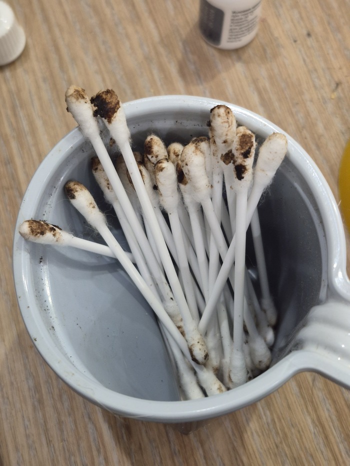 � ���� ����