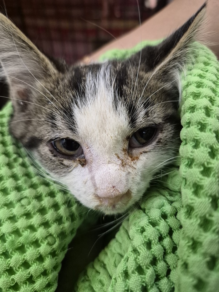 ��� ����� ��������� ��� � �����