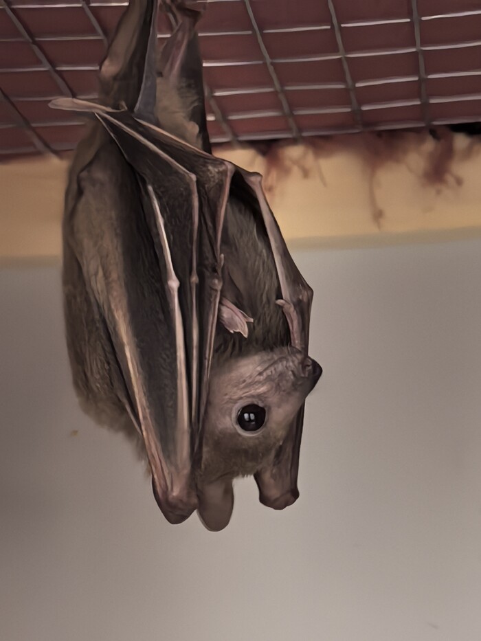 Заметили? Вот и я не заметила!