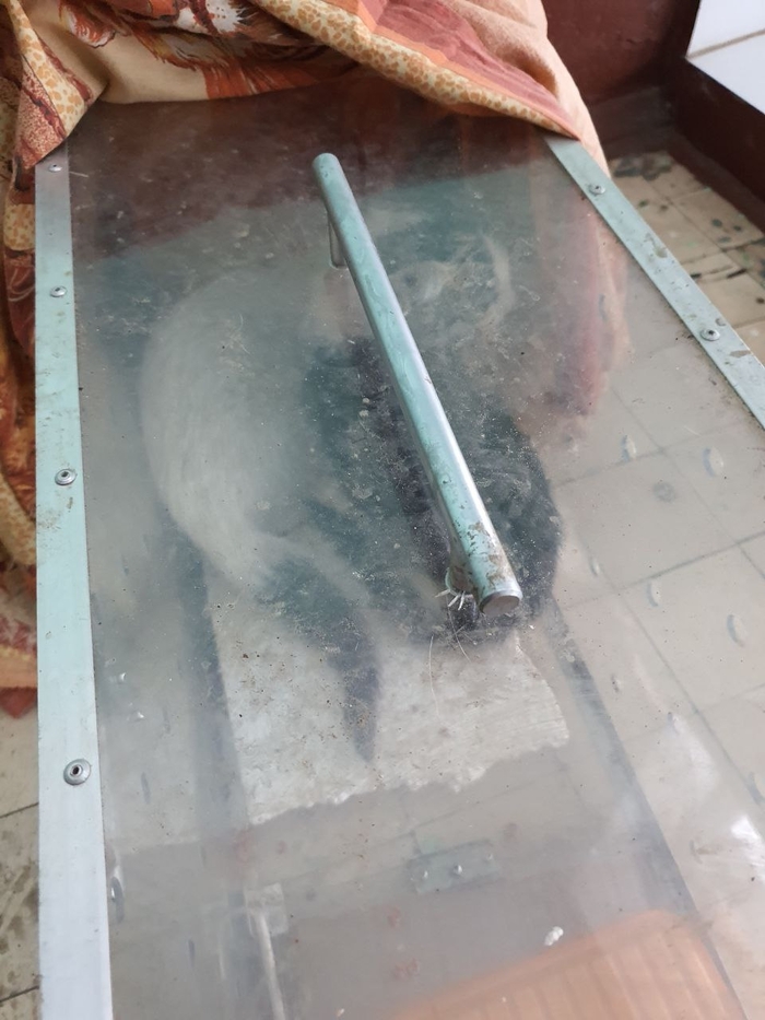 ������� �����