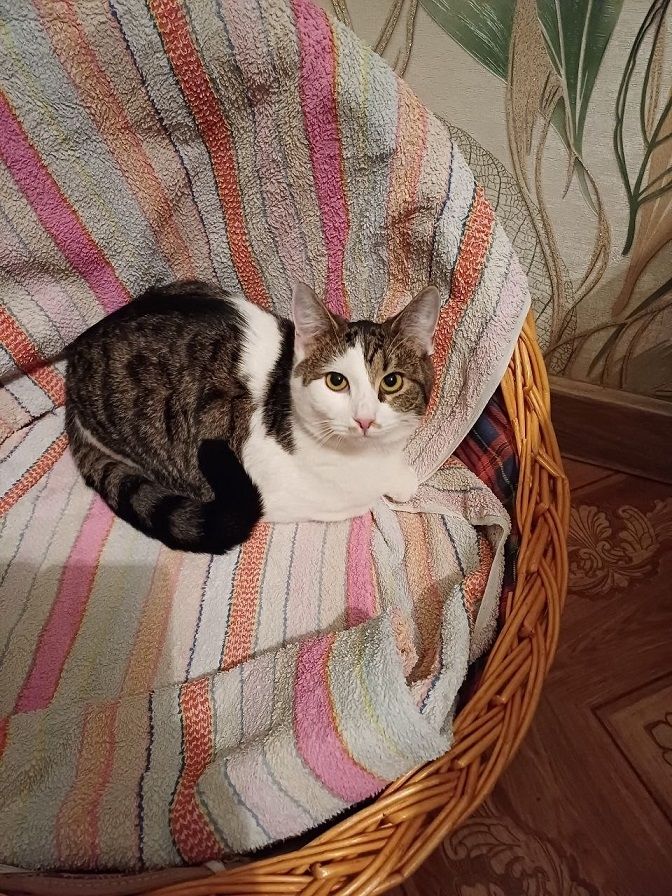 ���� ����