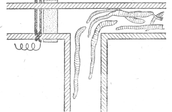 �-�������� ��������