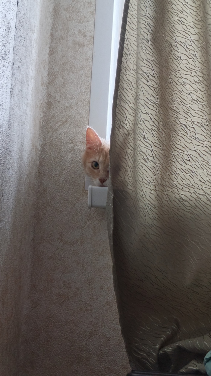 За вами подглядывают