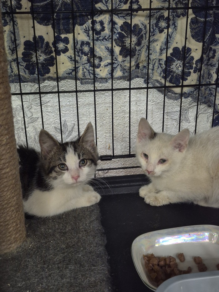 ����� ������ � ��������� �� ���������