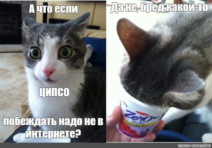 ����� �� ���� ������ �� ���