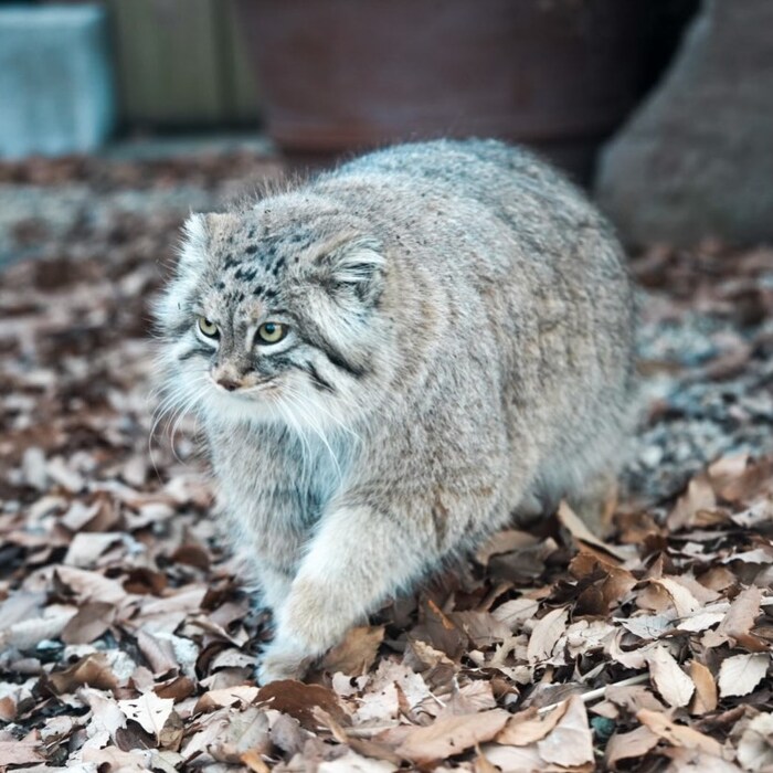 ��������� �������� � ����� ������