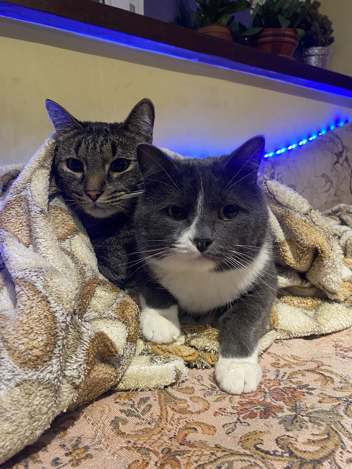 �������