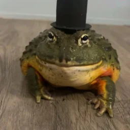 Werresk