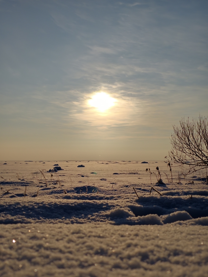 ������� ����� �������