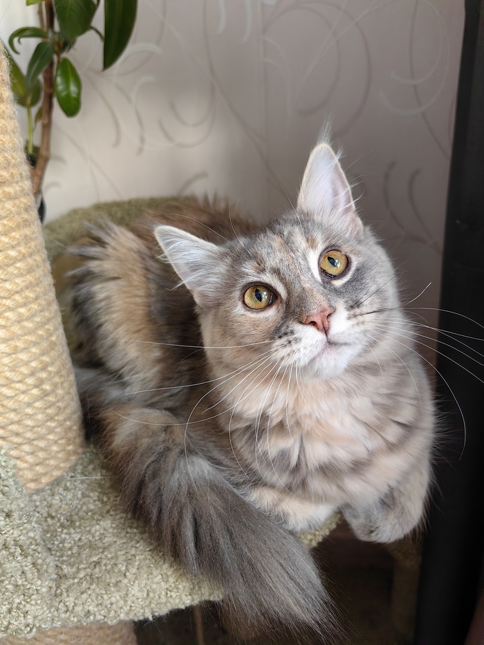 ������� ������ ������