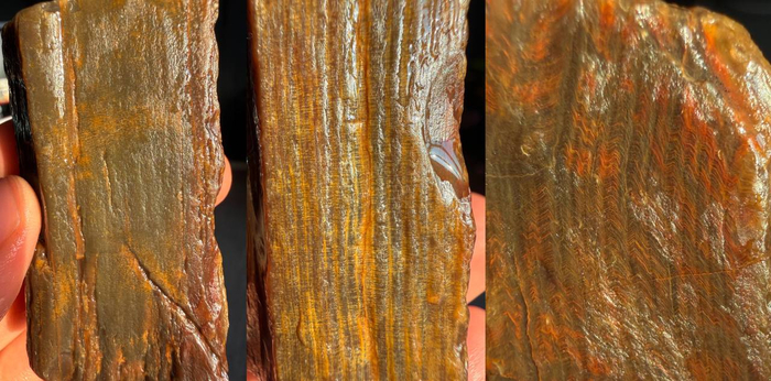 Закремнённый кусок дерева. Очевидный чётко окрашенные ячейки и волокна. Образец просвечивает по краям.