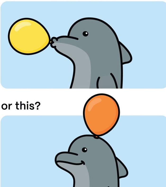 А действительно - как дельфин надувает воздушный шарик?