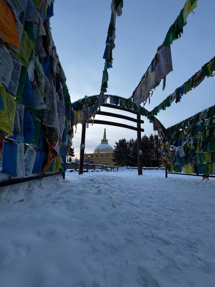 ������ �����