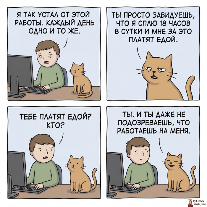 Работа на кота