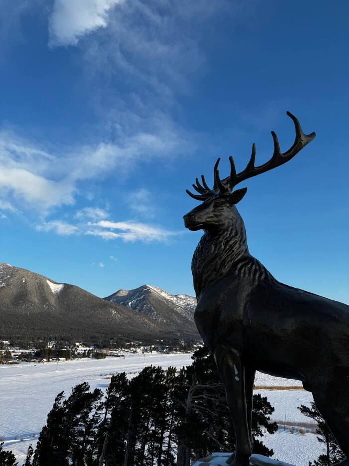 ��������� �� ��������