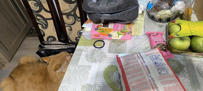 ���� ����������, ����� �� ��������� �������� �������