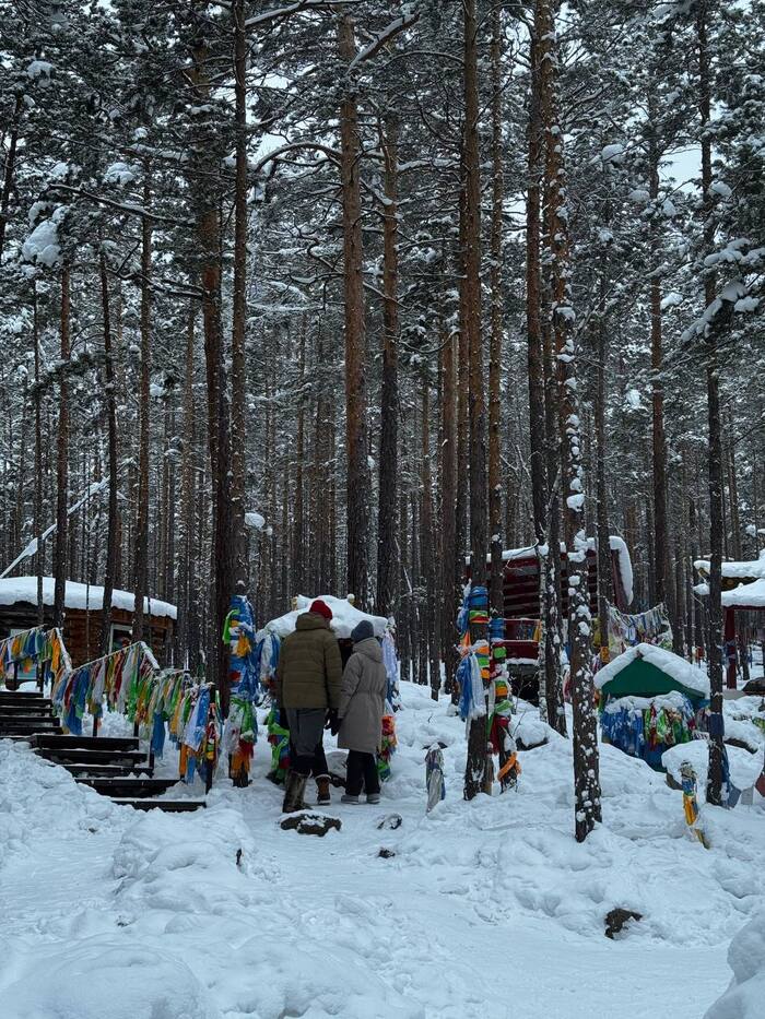 ����� �������� ������ �����