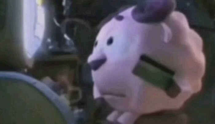 ����� ������ ���� �� ������