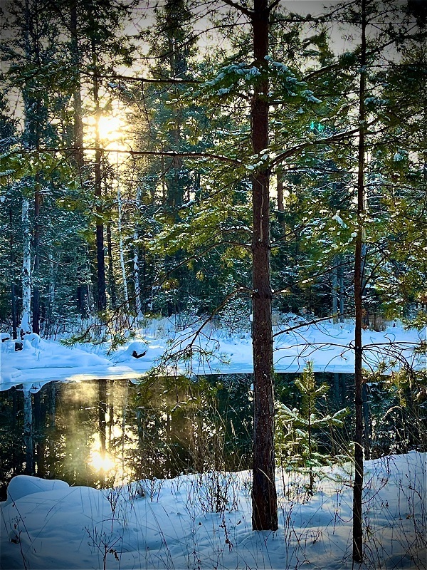 ��������������������� ������������ �������: ����� ������ (���������). ����: ����� ���������