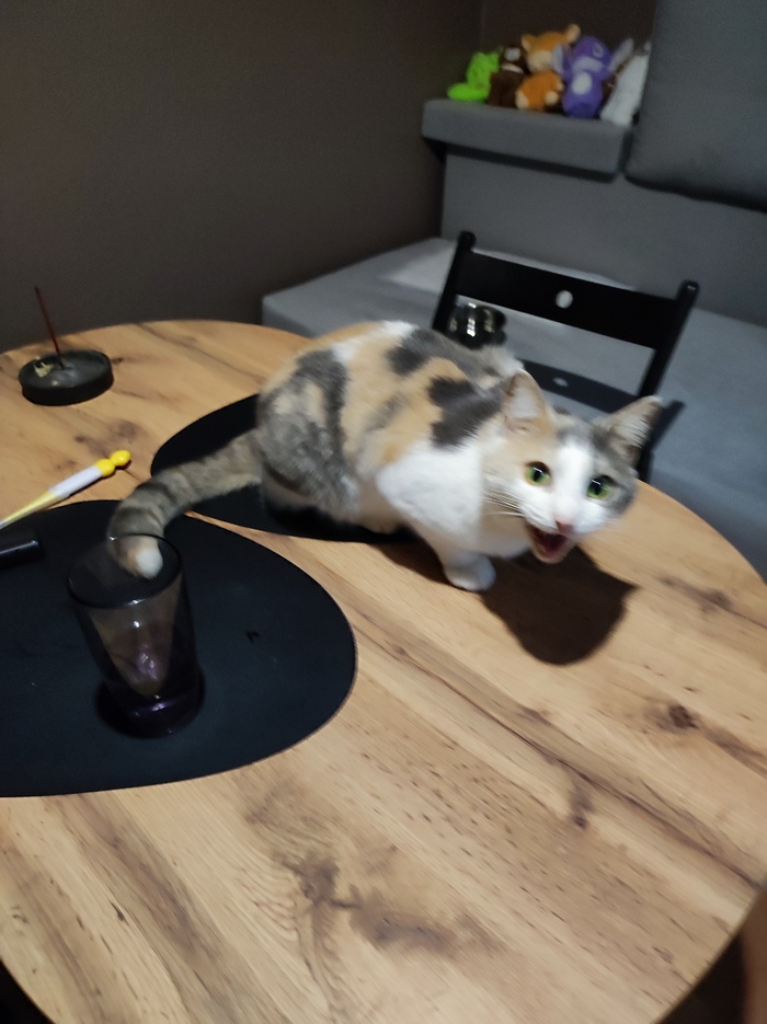 ������� ����������